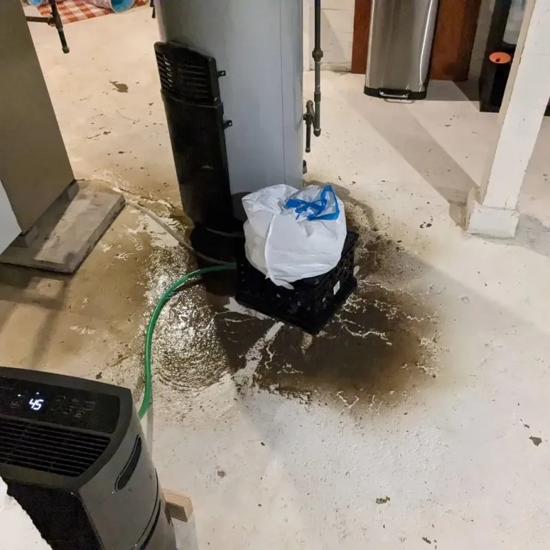 Sewage Backup Cleanup Service in Gunnison, CO